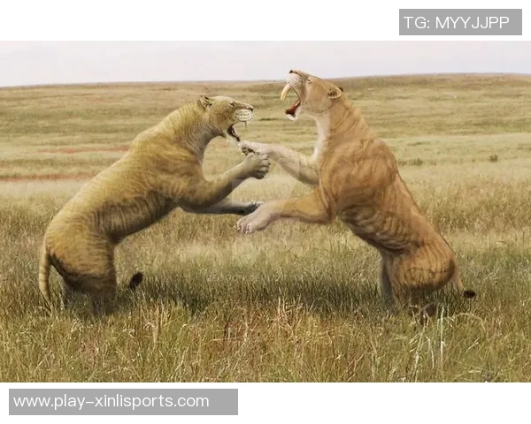 西班牙与塞尔维亚激战正酣谁将赢得这场精彩对决